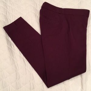 BR Sloan Fit pants Burgundy